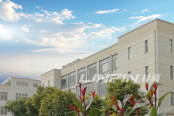 DeepSeek視角:專注與創(chuàng)新，林頻儀器鑄就行業(yè)新標桿